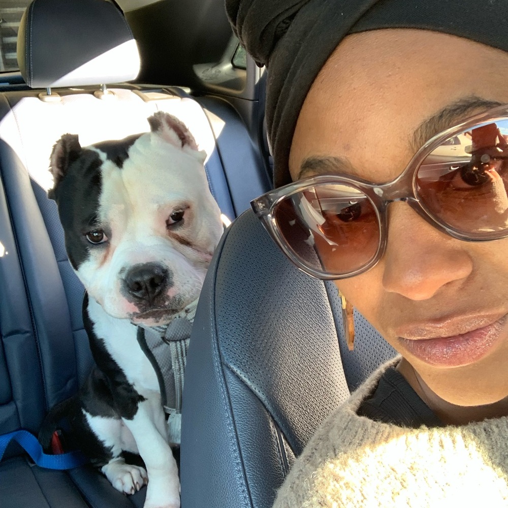 Meet your Posher, Brittanie